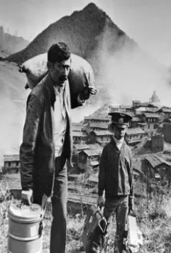 Мимино 1977 скачать с торрента Мимино 1977 скачать с торрента