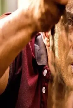 Султан 2016 скачать торрентом Султан 2016 скачать торрентом