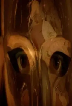 Зеркальная маска 2005 скачать торрентом Зеркальная маска 2005 скачать торрентом