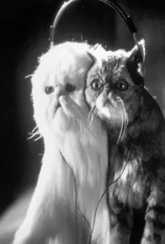 Кошки против собак 2001 скачать торрентом Кошки против собак 2001 скачать торрентом