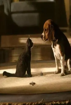 Кошки против собак 2001 скачать с торрента Кошки против собак 2001 скачать с торрента