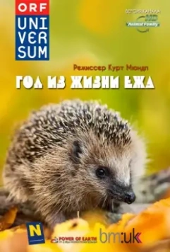Год из жизни ежа / The Year of the Hedgehog 2009 скачать через торрент в хорошем качестве