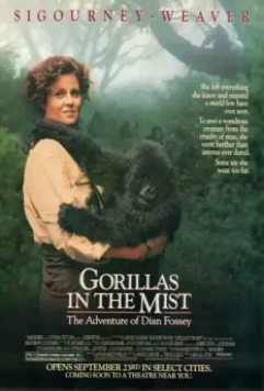 Гориллы в тумане / Gorillas in the Mist: The Story of Dian Fossey 1988 скачать через торрент в хорошем качестве