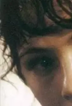 Дискосвиньи 2001 скачать через торрент бесплатно Дискосвиньи 2001 скачать через торрент бесплатно