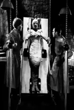 Невеста Франкенштейна 1935 скачать через торрент бесплатно Невеста Франкенштейна 1935 скачать через торрент бесплатно