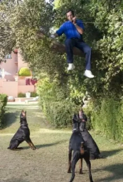 Сэнди Уэкслер 2017 скачать торрентом Сэнди Уэкслер 2017 скачать торрентом