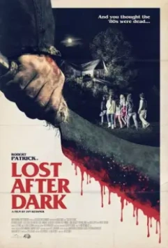 Потерявшиеся во тьме / Lost After Dark 2013 скачать через торрент в хорошем качестве