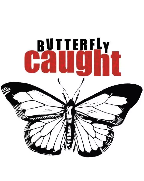Поймать бабочку / Butterfly Caught 2017 скачать через торрент в хорошем качестве