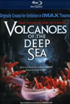 Вулканы в морских глубинах / Volcanoes of the Deep Sea 2003 скачать через торрент в хорошем качестве