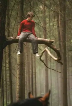 Угоняя лошадей 2019 скачать торрентом Угоняя лошадей 2019 скачать торрентом