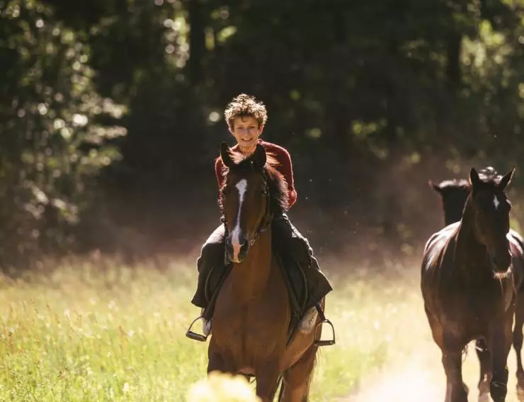 Угоняя лошадей 2019 скачать с торрента Угоняя лошадей 2019 скачать с торрента