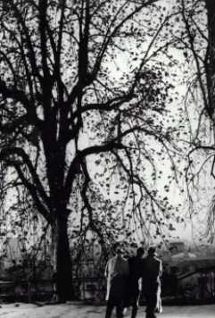 Процесс 1962 скачать торрентом Процесс 1962 скачать торрентом