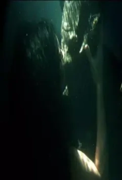 Сага: Тень Кабала 2013 скачать с торрента Сага: Тень Кабала 2013 скачать с торрента