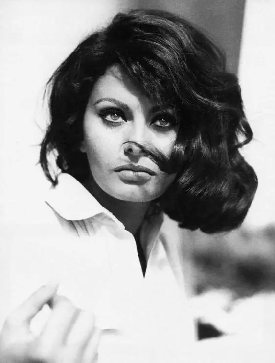 Графиня из Гонконга 1967 скачать через торрент бесплатно Графиня из Гонконга 1967 скачать через торрент бесплатно