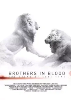 Прирожденные короли / Brothers in Blood: The Lions of Sabi Sand 2015 скачать через торрент в хорошем качестве