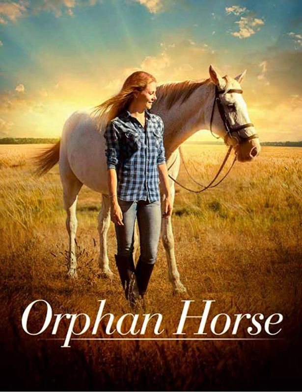 Orphan Horse