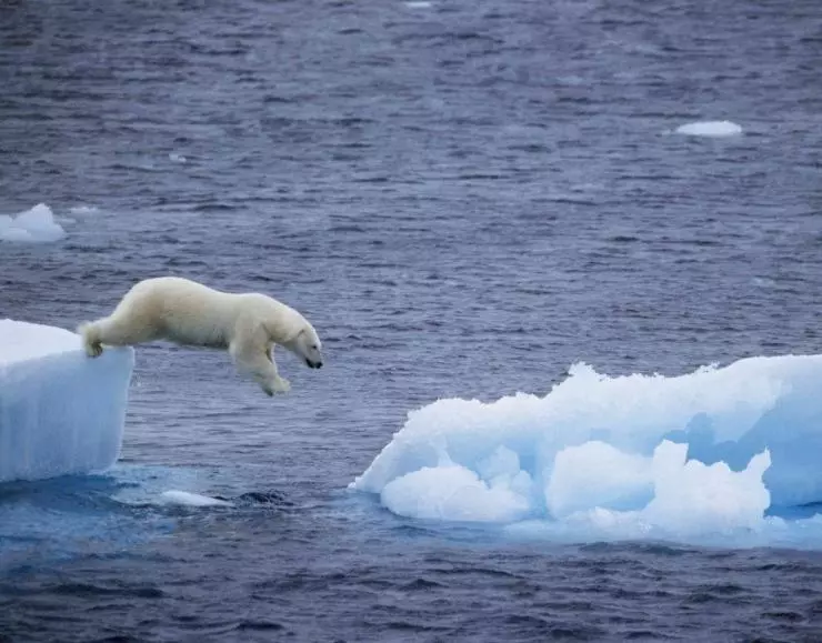 Земля 2007 скачать торрентом Земля 2007 скачать торрентом