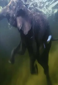 Земля 2007 скачать через торрент бесплатно Земля 2007 скачать через торрент бесплатно