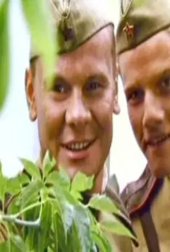 В августе 44-го 2001 скачать торрентом В августе 44-го 2001 скачать торрентом