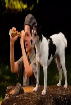 Мальчик в зеркале 2014 скачать с торрента Мальчик в зеркале 2014 скачать с торрента