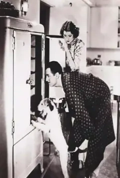 Тонкий человек 1934 скачать торрентом Тонкий человек 1934 скачать торрентом