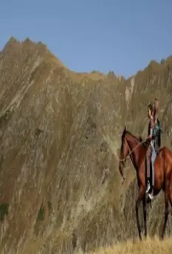 Приключения Нелли 2016 скачать торрентом Приключения Нелли 2016 скачать торрентом