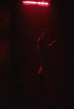 Неоновый вол 2015 скачать с торрента Неоновый вол 2015 скачать с торрента