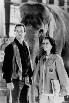 Больше, чем жизнь 1996 скачать через торрент бесплатно Больше, чем жизнь 1996 скачать через торрент бесплатно