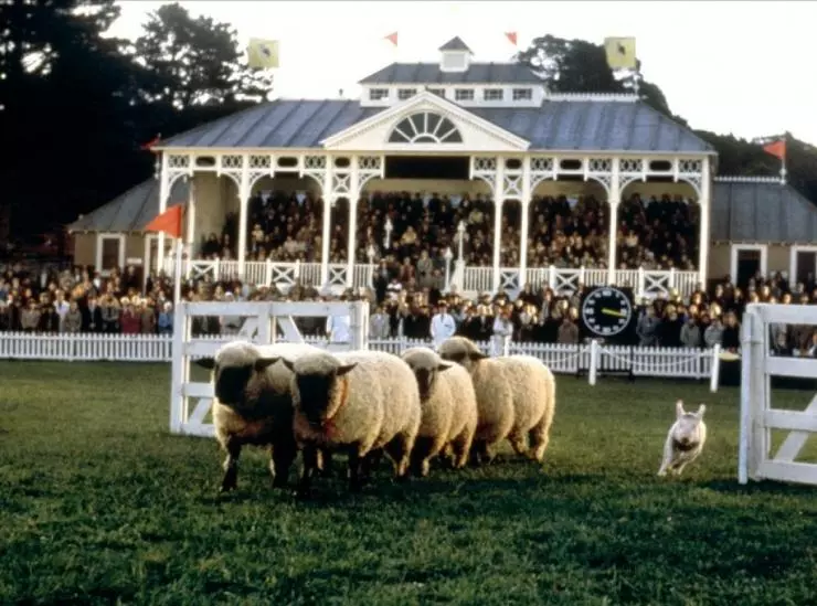 Бэйб: Четвероногий малыш 1995 скачать торрентом Бэйб: Четвероногий малыш 1995 скачать торрентом