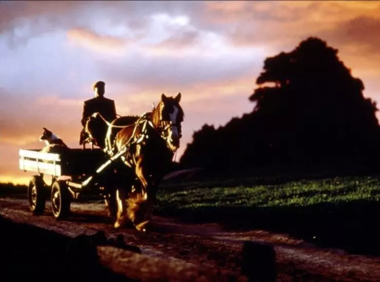 Бэйб: Четвероногий малыш 1995 скачать с торрента Бэйб: Четвероногий малыш 1995 скачать с торрента