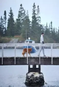 Джесси Стоун: Гибель невинных 2011 скачать торрентом Джесси Стоун: Гибель невинных 2011 скачать торрентом