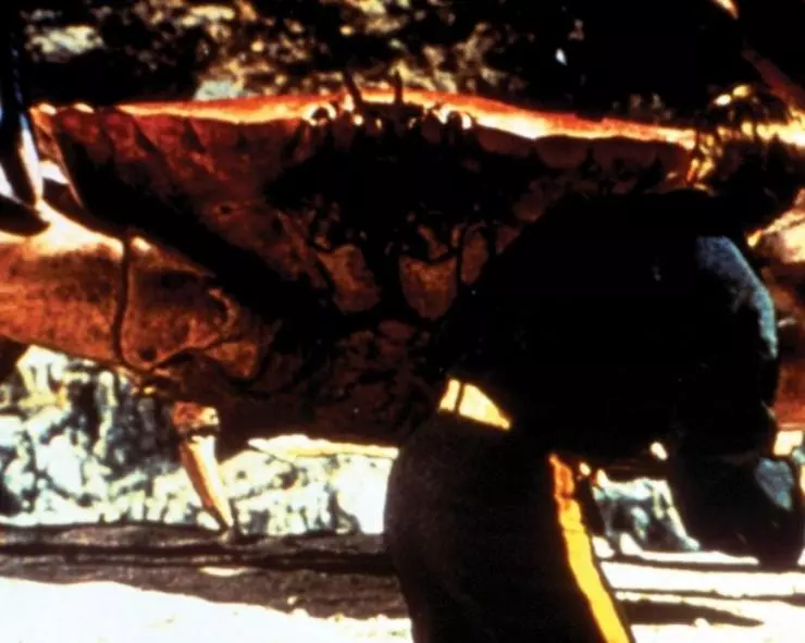 Остров приключений 1961 скачать через торрент бесплатно Остров приключений 1961 скачать через торрент бесплатно