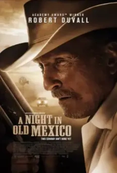 Ночь в старой Мексике / A Night in Old Mexico 2013 скачать через торрент в хорошем качестве