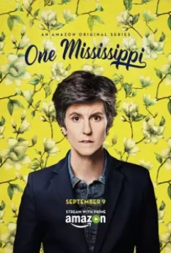 Раз, Миссисипи / One Mississippi 2015 скачать через торрент в хорошем качестве