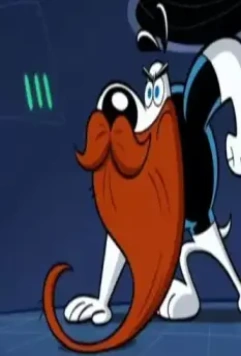 Турбопес 2010 скачать с торрента Турбопес 2010 скачать с торрента