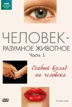 BBC: Человек – разумное животное / The Human Animal 1994 скачать через торрент в хорошем качестве