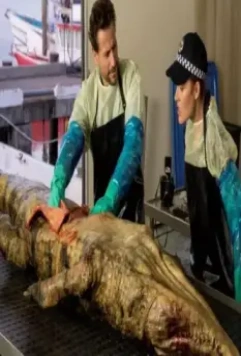 Доктор Хэрроу 2018 скачать торрентом Доктор Хэрроу 2018 скачать торрентом