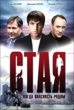 Стая 2005 скачать через торрент в хорошем качестве