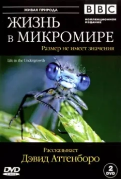 BBC: Жизнь в микромире / Life in the Undergrowth 2005 скачать через торрент в хорошем качестве