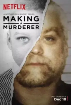 Создавая убийцу / Making a Murderer 2015 скачать через торрент в хорошем качестве