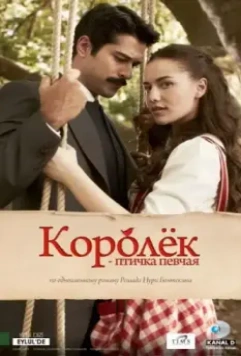 Королёк – птичка певчая / Çalikusu 2013 скачать через торрент в хорошем качестве