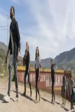 Бойтесь ходячих мертвецов 2015 скачать с торрента Бойтесь ходячих мертвецов 2015 скачать с торрента