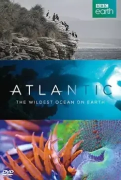 Атлантика: Самый необузданный океан на Земле / Atlantic: The Wildest Ocean on Earth 2015 скачать через торрент в хорошем качестве