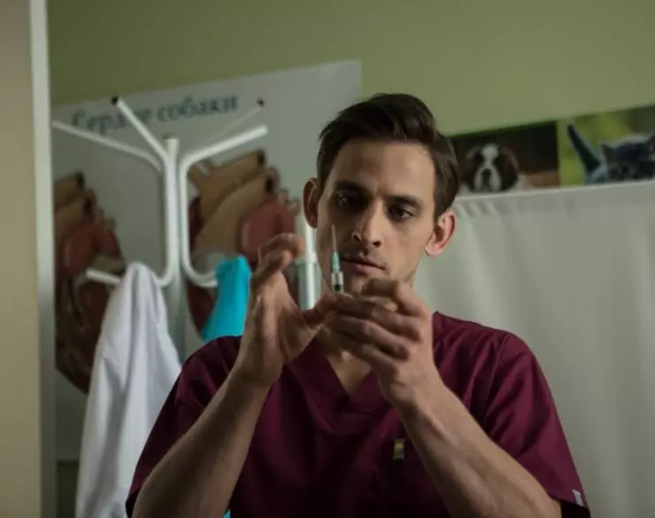 Любимцы 2017 скачать торрентом Любимцы 2017 скачать торрентом