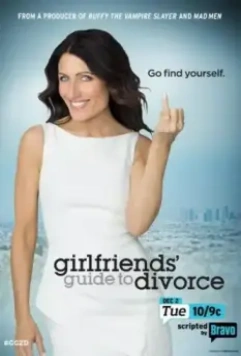 Инструкция по разводу для женщин / Girlfriends' Guide to Divorce 2015 скачать через торрент в хорошем качестве