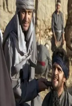 Вкус граната 2011 скачать с торрента Вкус граната 2011 скачать с торрента