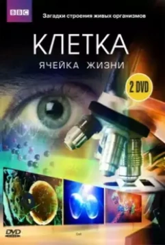 BBC: Клетка / The Cell 2009 скачать через торрент в хорошем качестве