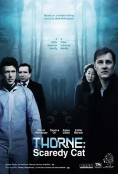Торн: Пуганая ворона / Thorne: Scaredycat 2010 скачать через торрент в хорошем качестве