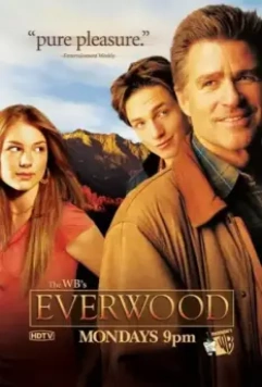 Любовь вдовца / Everwood 2002 скачать через торрент в хорошем качестве