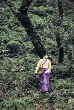 Книга семьи Гу 2013 скачать через торрент бесплатно Книга семьи Гу 2013 скачать через торрент бесплатно